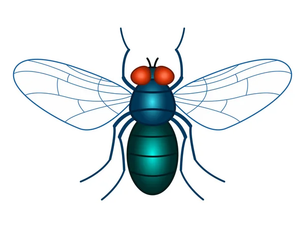 Vliegen insecten illustratie — Stockvector