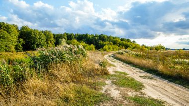 Kır yolu manzarası