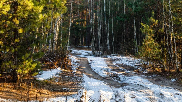 Strada forestale invernale — Foto Stock