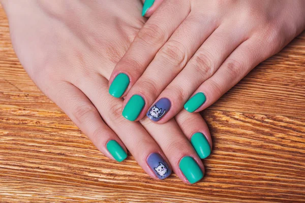 Nail Art Türkiz Színű Fehér Macska Szürke — Stock Fotó