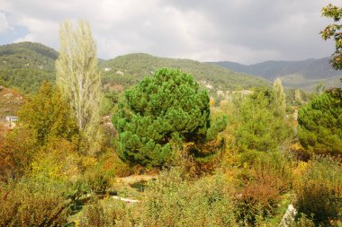 Kıbrıs Köyü dağlarında