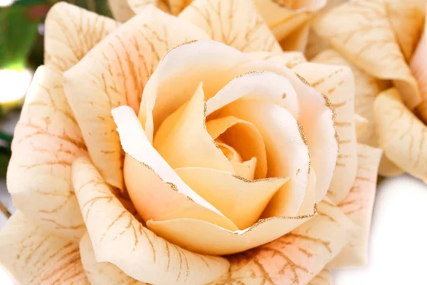 Rosas close up imagem — Fotografia de Stock