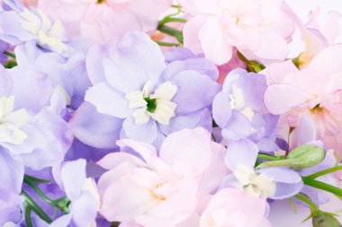  renkli kumaş çiçekler