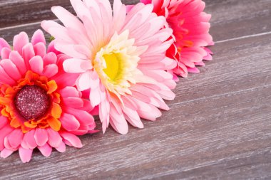 Pembe kumaş papatyalar