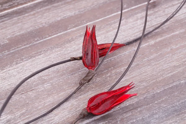 Rödtorkade blommor — Stockfoto