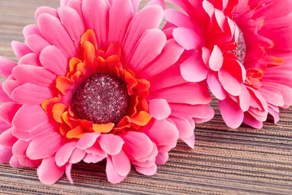 Pink artificial daisies — Stock Photo, Image