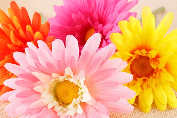 Colorful fabric daisies — Stock Photo, Image