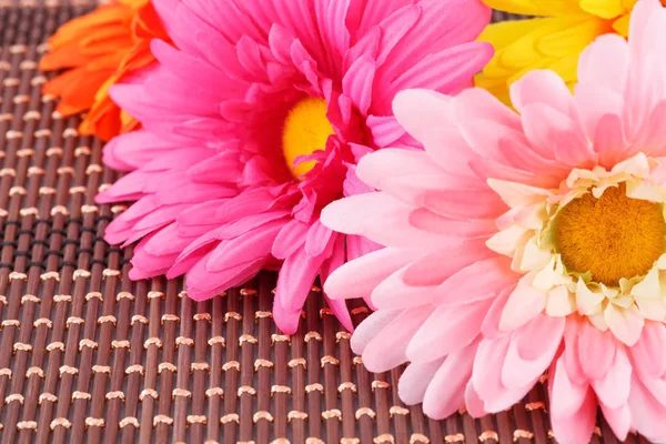 Colorful fabric daisies — Stock Photo, Image