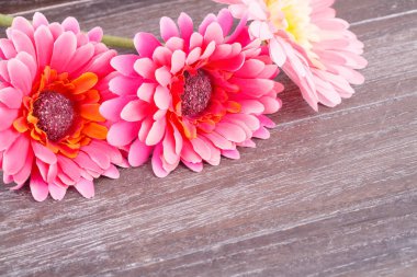 Pembe kumaş papatyalar