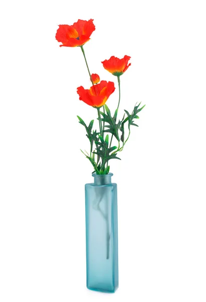 花瓶里的罂粟 — 图库照片