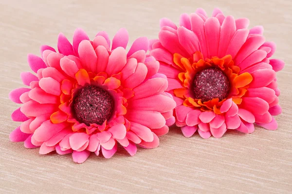 Marguerites sur fond de tissu — Photo