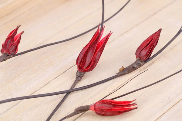 Fleurs séchées sur fond en bois — Photo