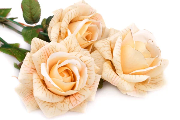 Жовтий тканина троянд — стокове фото