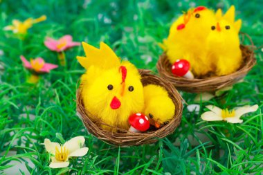 Tavuk ile Paskalya dekorasyon
