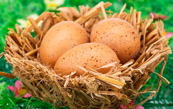 Διακόσμηση τα αυγά του Πάσχα — Φωτογραφία Αρχείου