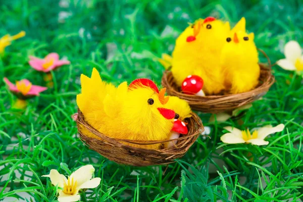 Ajuste de Pascua con pollos —  Fotos de Stock