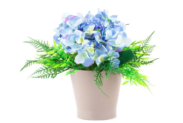 Flores azules —  Fotos de Stock