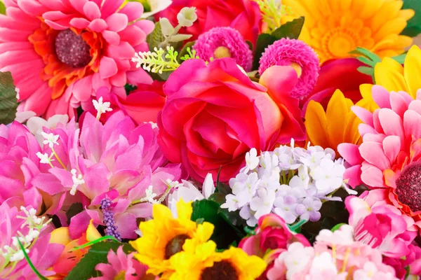 Flowers — Stock Photo, Image