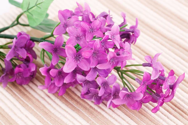 Flowers — Stock Photo, Image