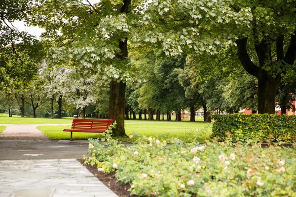 Fák a parkban — Stock Fotó