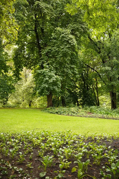 Le parc du Palais Royal à Oslo — Photo