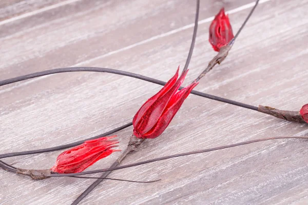 Dried flowers — Stock Photo, Image