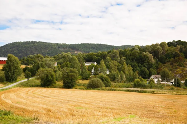 Norveç'te Köyü — Stok fotoğraf