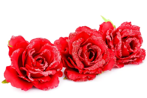 Rosas. — Foto de Stock