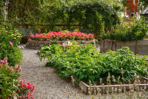 Grönsaks- och blomsterträdgård — Stockfoto