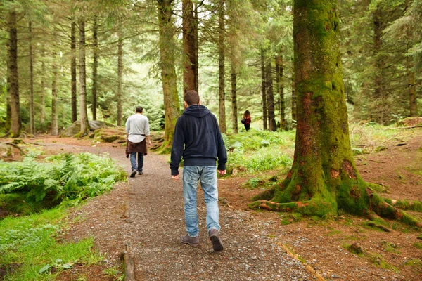 Människor i skogen — Stockfoto