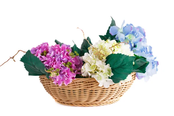 Blumen im Korb — Stockfoto
