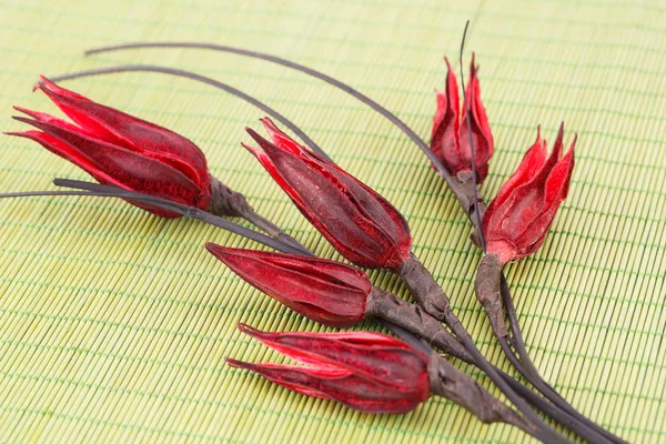 Dried flowers — Stock Photo, Image