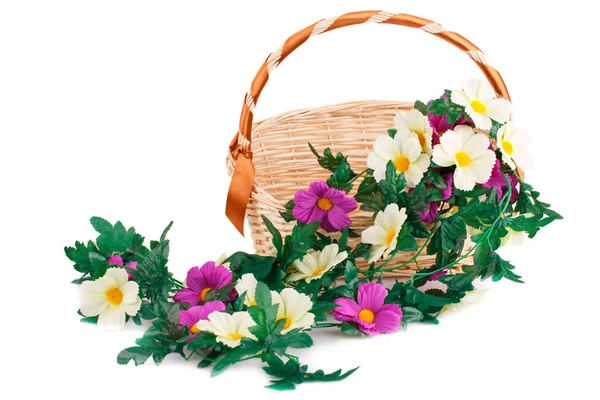 Kwiaty w koszyku — Zdjęcie stockowe