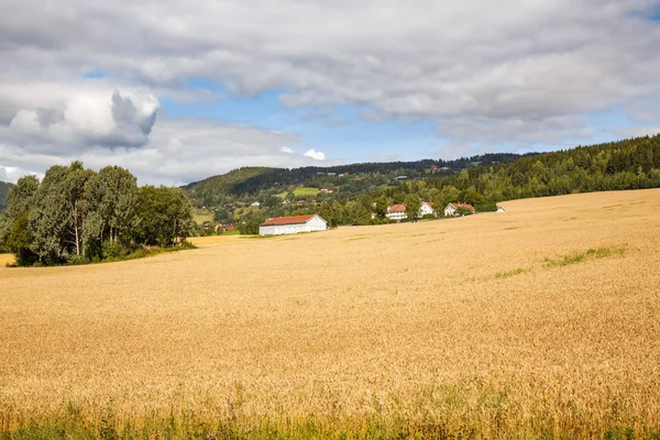 Norveç'te peyzaj — Stok fotoğraf