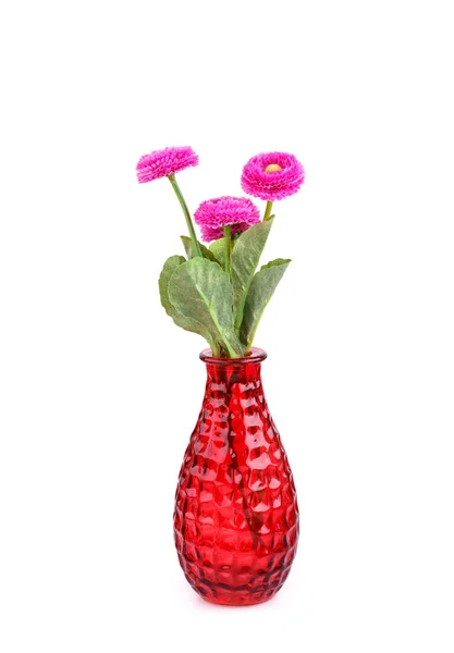 Blumen in der Vase — Stockfoto