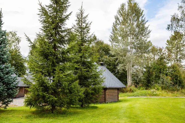 Paisagem Com Casas Madeira Árvores Noruega — Fotografia de Stock