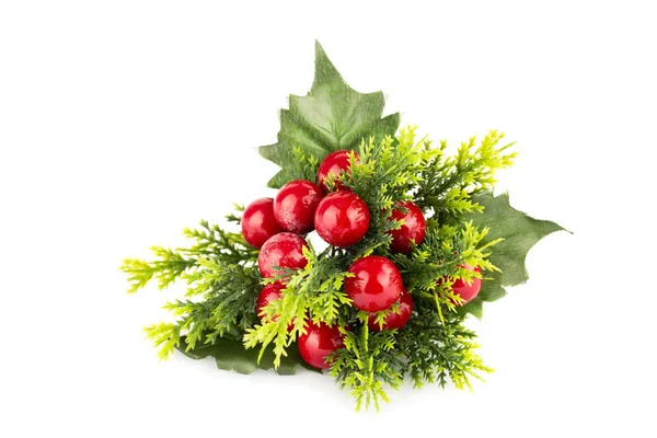 Christmas holly berry větev — Stock fotografie