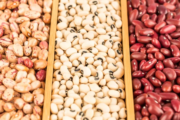 Different beans — Stock Photo, Image