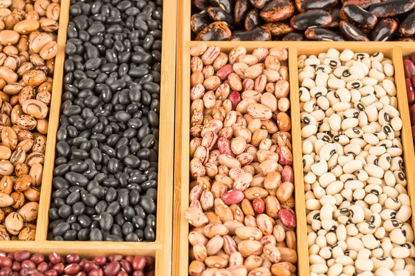 Different beans — Stock Photo, Image