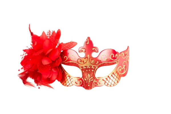 Carnival mask — Stockfoto