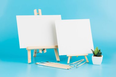 Şeseller ve fırçalar