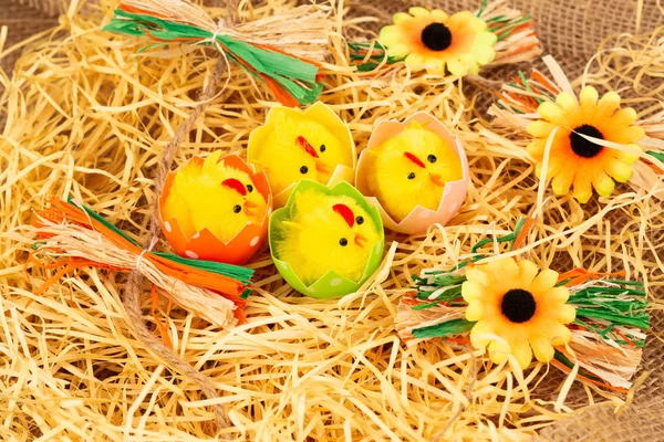 Velikonoční dekorace — Stock fotografie