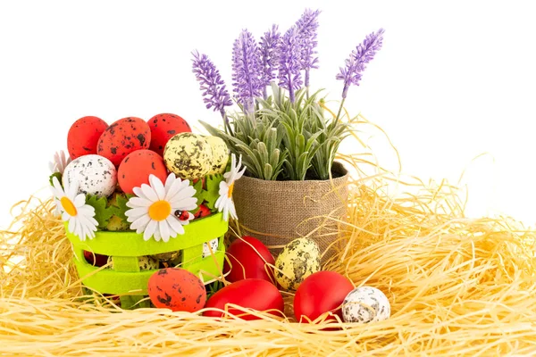 Decorazione di Pasqua — Foto Stock