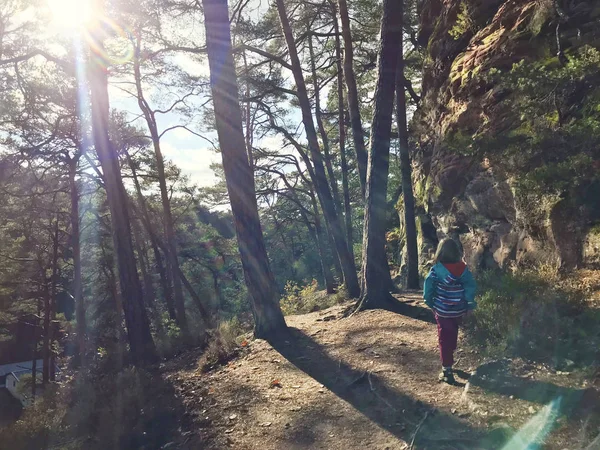 Caminhada em família na floresta de outono em Rheinland Pfalz — Fotografia de Stock