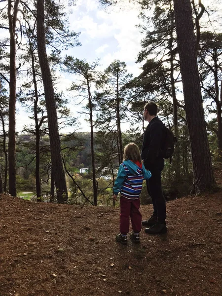 Family hike in autumn forest in Rheinland Pfalz — Stock Photo, Image