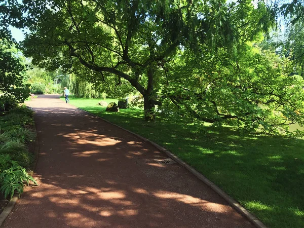 Chemin d'argile dans le parc urbain en été — Photo