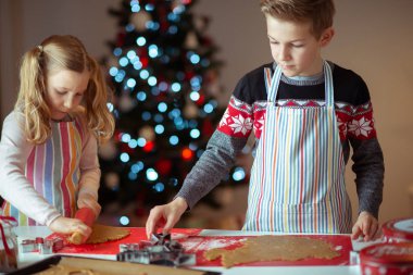 Mutlu kardeşlerim çocuklar evde Noel kurabiyeleri hazırlıyorlar.