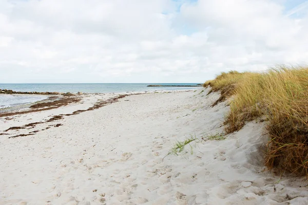 Foto de dunas y playa de arena blanca en el mar Báltico —  Fotos de Stock