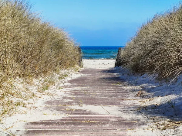 Photo of dunes and white sand beach at German shore of Baltic sea
