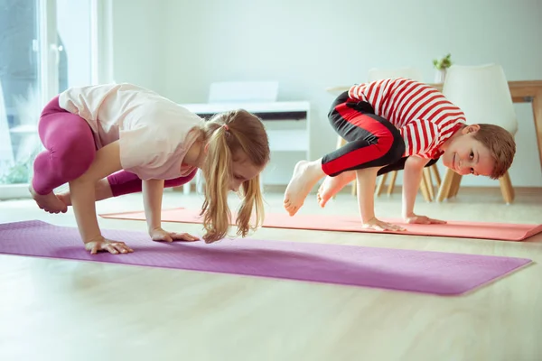 Gelukkig Broers Zussen Kinderen Maken Yoga Thuis Afstoffen Coronavirus Quarantaine — Stockfoto